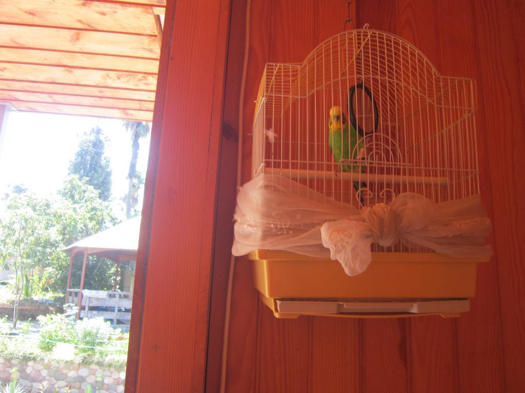 Wooden Cottage Makhinjauri Εξωτερικό φωτογραφία